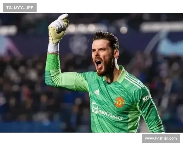 德甲门将精彩扑救集锦：顶级守门员的关键时刻表现与技术分析